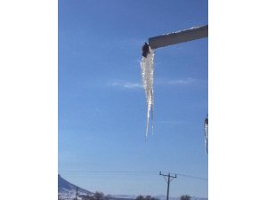 SERÇE, İÇMEK İSTEDİĞİ SU İLE BİRLİKTE DONDU