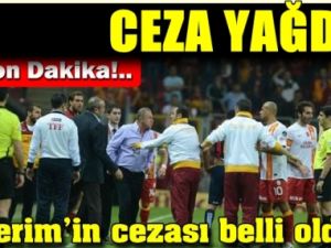 İşte Terim'in Cezası