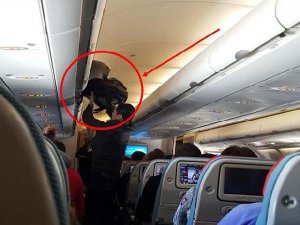 THY UÇAĞINDA HIRSIZLIK KAMERADA