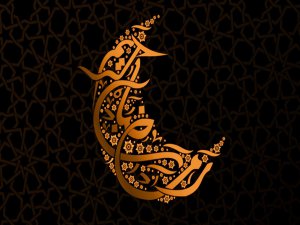 DİYANET'TEN ÇOK KONUŞULACAK BİR FETVA DAHA