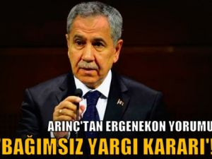 Arınç'tan Ergenekon yorumu: 'Bağımsız yargı kararı'!