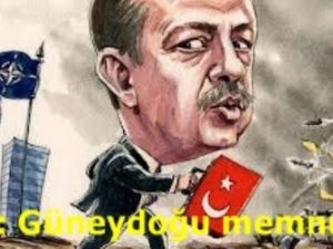 FT: Güneydoğu kararlardan memnun