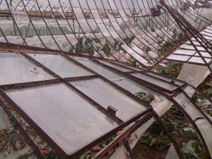 ANTALYA'DA HORTUM SERALARI PARÇALADI