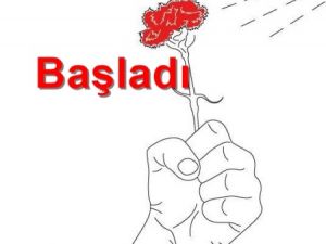 Karanfille Başladı Gaz ile Bitti!