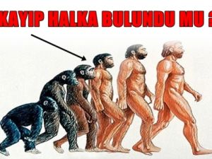 İnsan Atasının Kayıp Halkasında Önemli İp Uçları Bulundu