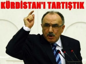 Kürdistan'ı Başbakan İle Tartıştık