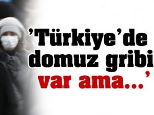 Sağlık Bakanlığı; Domuz Gribi Var Ama !