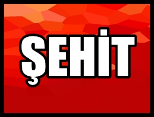 MARDİN'DEN YİNE KARA HABER; 2 ŞEHİT