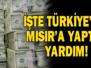 İşte Türkiye'nin Mısır'a yaptığı yardım!