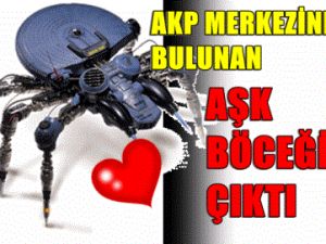 AKP'de AŞK Böceği