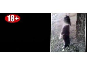 BUNU YAPAN İNSAN OLAMAZ