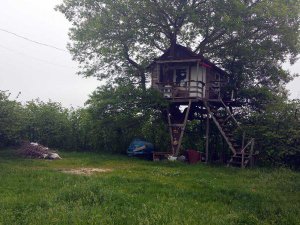 AĞAÇ EVDE 4 ÇOCUĞA TACİZE 15 YIL