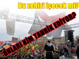 Erdoğan Bu Zehiri mi İçecek ?