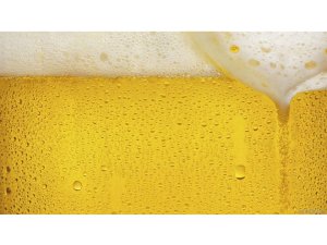 SLOVENYA'DA BİRA ÇEŞMESİ İNŞA EDİLECEK