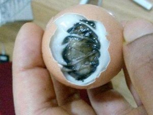 'YUMURTAMI KAYNATTIM VE BAKIN NE BULDUM'