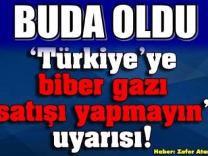 'Türkiye'ye biber gazı satışı yapmayın' uyarısı