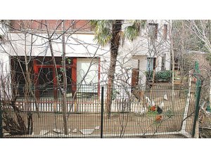 CİHANGİR'İ KARIŞTIRAN HOROZ