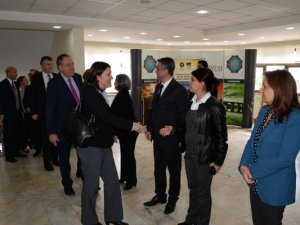 AVRUPALI VEKİLLER DİYARBAKIR'I İNCELEMEYE GELDİLER