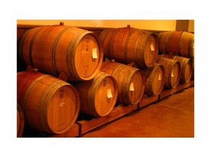 ALMAN BİRALARINDA KANSOREJEN MADDE BULUNDU