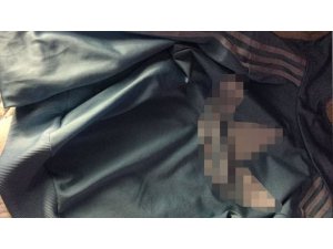 BU CEKETİN GERÇEK RENGİ NE?