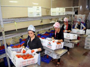 RUSYA KRİZİNDE 2. EN BÜYÜK DARBE