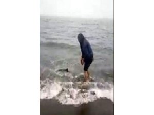 KIYIYA VURAN YAVRU YUNUSU KURTARDI