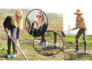 CİCİŞLER'E POLİSE HAKARETTEN 200 FİDAN DİKME CEZASI