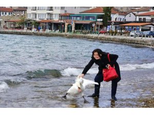 FOTOĞRAF ÇEKİLMEK UĞRUNA KUĞUYU ÖLDÜRDÜ