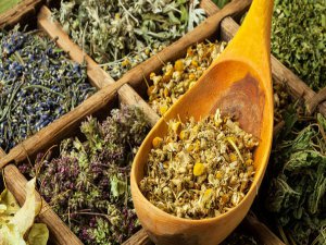 AKTARLARA YASAK GELDİ