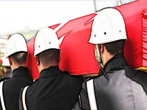 NUSAYBİN'DE ŞEHİT VAR