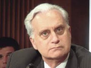 Ricciardone ne demek istiyor?