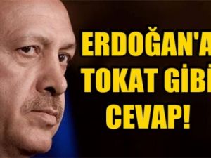Erdoğan'a tokat gibi cevap!