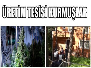 İSTANBUL'DA LÜKS VİLLAYA ESRAR BASKINI