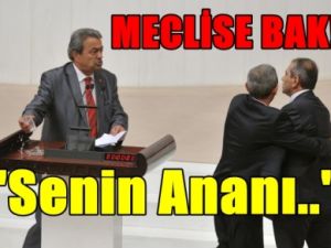 İşte Tutanağı 'Mecliste Ana Avrat Düz Gitti !'