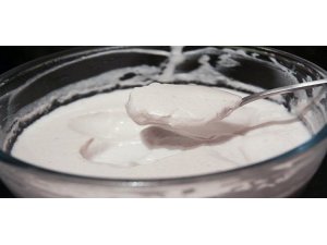 BİR ARAŞTIRMACI KENDİ VAJİNAL BAKTERİSİNDEN YOĞURT ÜRETTİ