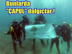 Çapul Direniş Dalışa Geçti