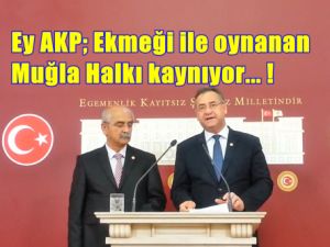 Tolga Çandar; Ekmek artık aslanın ağzında değil, AKP'lilerin midesindedir