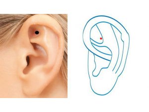 SHEN MEN NEDİR NASIL UYGULANIR