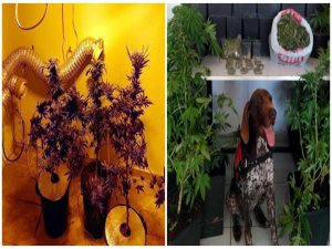 BODRUM'DA LÜKS VİLLAYA ESRAR BASKINI