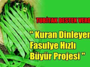 'Kuran Dinleyen Fasulye Hızlı Büyür' Projesine TUBİTA'dan Destek