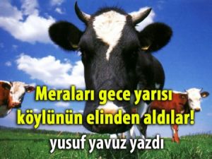 Meraları gece yarısı köylünün elinden aldılar!