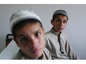 GÜNEŞ BATTIKTAN SONRA BİTKİSEL HAYATA GİRİYORLAR