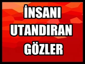 ÖLÜRKEN AĞLAYAN FİL DÜNYAYI AYAĞA KALDIRDI