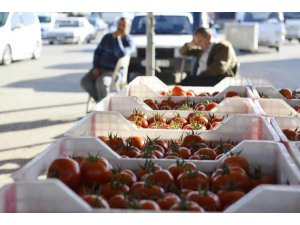 RUSYA KRİZİNİN DOMATES ZARARI DUDAK UÇUKLATTI