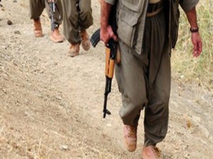 PKK KARIŞTI: BİRLERİNE DÜŞTÜLER
