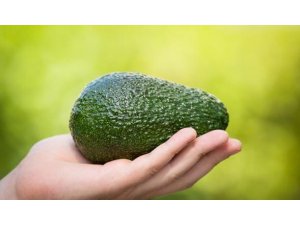 AVOKADONUN 7 FAYDASI