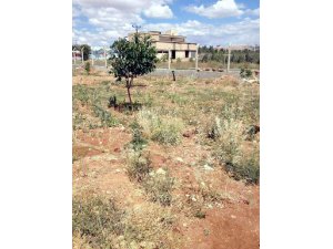 IŞİD'İN GAZİANTEP SALDIRISINDA FLAŞ GELİŞME