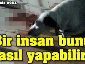 Günün en iğrenç haberi!