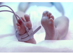 BİTKİSEL HAYATTAKİ KADIN DOĞUM YAPTI