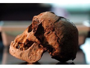 HOBİTLERİN ATALARININ KEMİKLERİ BULUNDU